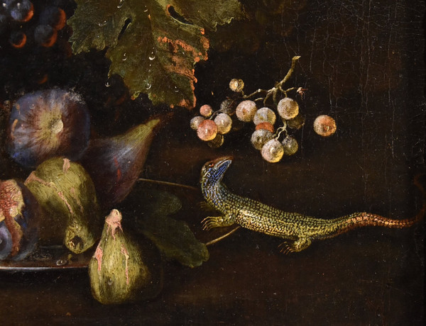 Stillleben mit Früchten und Eidechse, Franz Werner von Tamm (Hamburg 1658-Wien 1754)