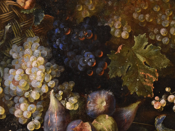 Stillleben mit Früchten und Eidechse, Franz Werner von Tamm (Hamburg 1658-Wien 1754)