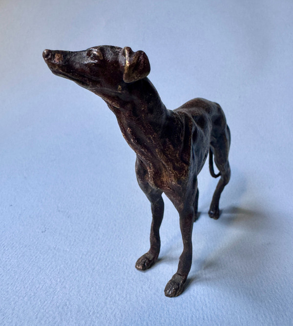 Greyhound in bronze from Vienna, dog sculpture