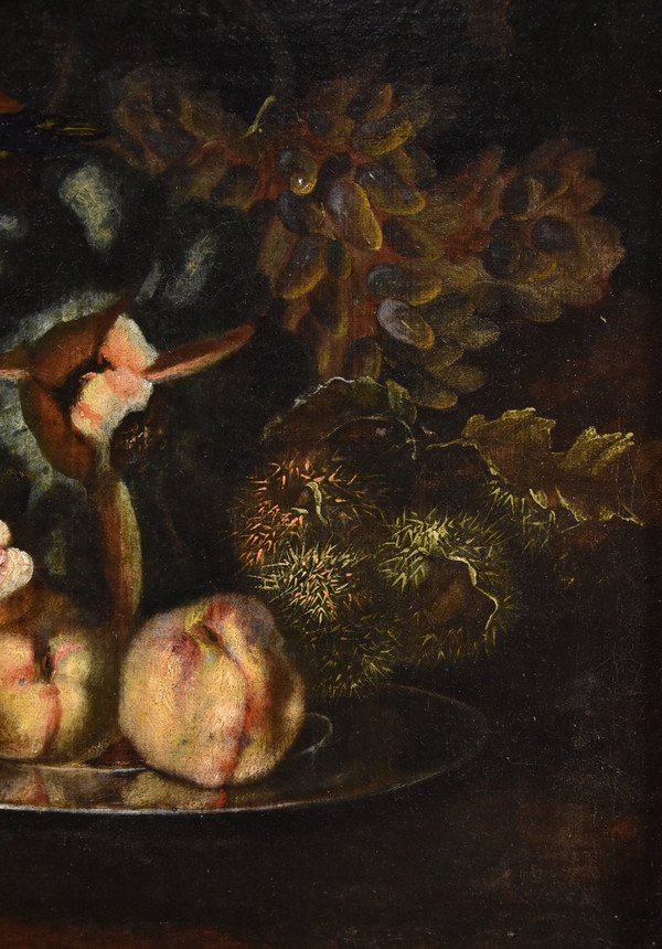 Früchtestillleben mit Grünspecht, Franz Werner Von Tamm (Hamburg 1658 - Wien 1754)
