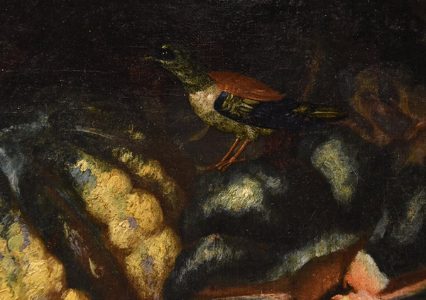 Früchtestillleben mit Grünspecht, Franz Werner Von Tamm (Hamburg 1658 - Wien 1754)
