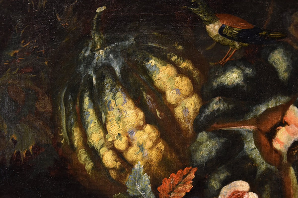 Früchtestillleben mit Grünspecht, Franz Werner Von Tamm (Hamburg 1658 - Wien 1754)