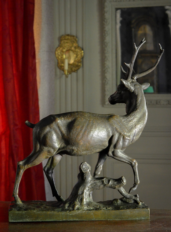 Grande animale in bronzo / cervo / giovane fonditore gruet