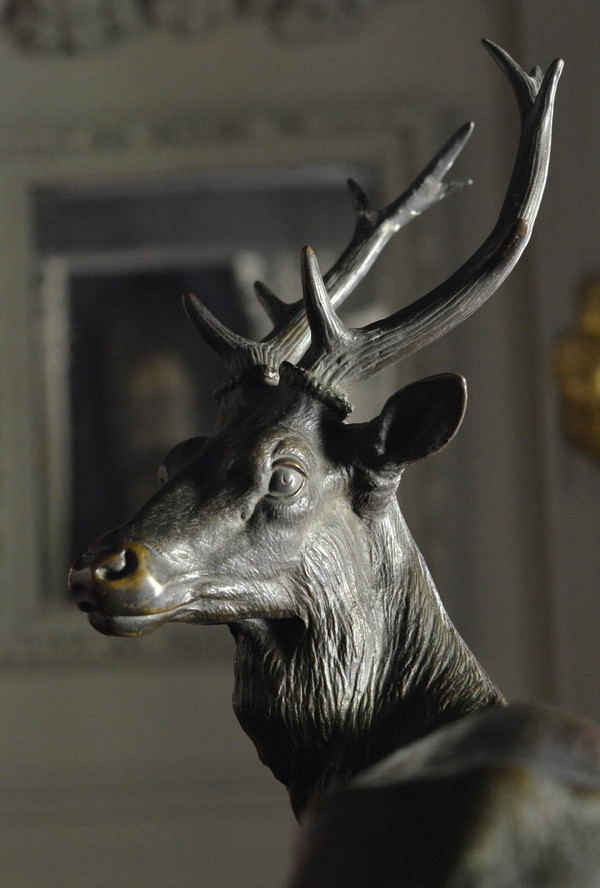 Grande animale in bronzo / cervo / giovane fonditore gruet