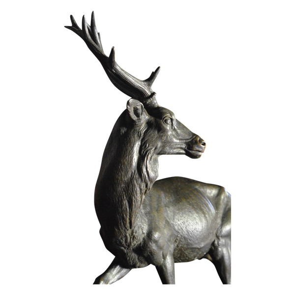Grande animale in bronzo / cervo / giovane fonditore gruet