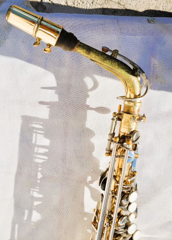Sakura saxophone with case