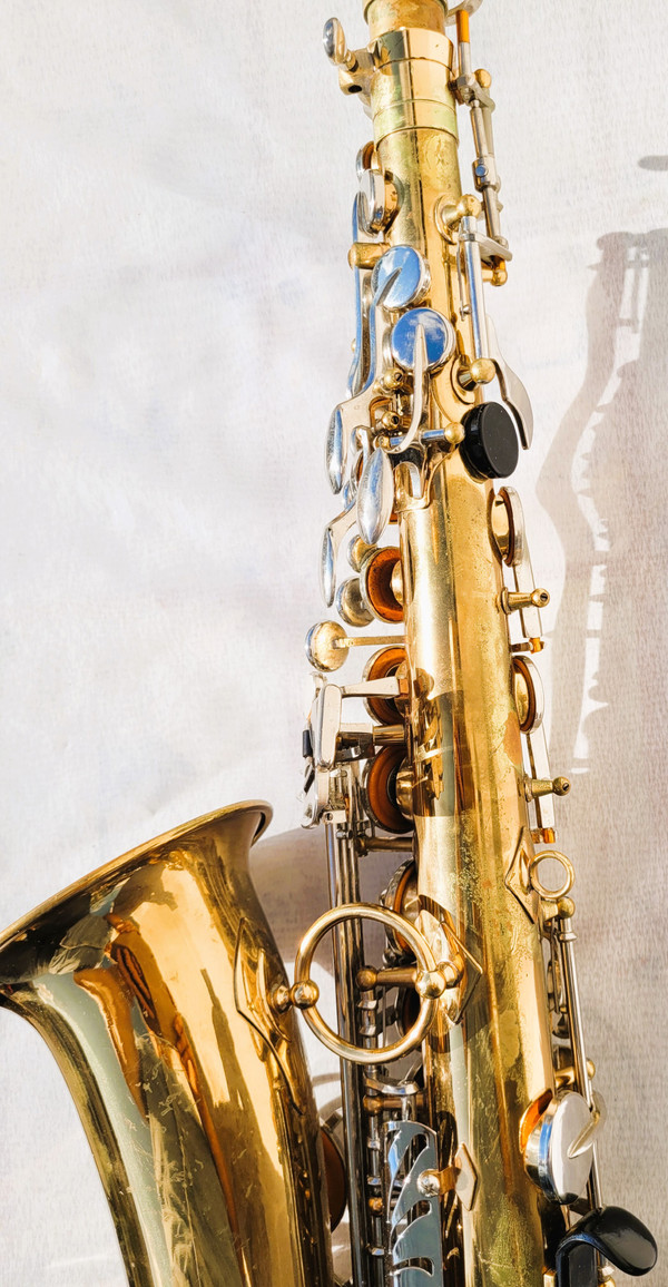 Sakura saxophone with case