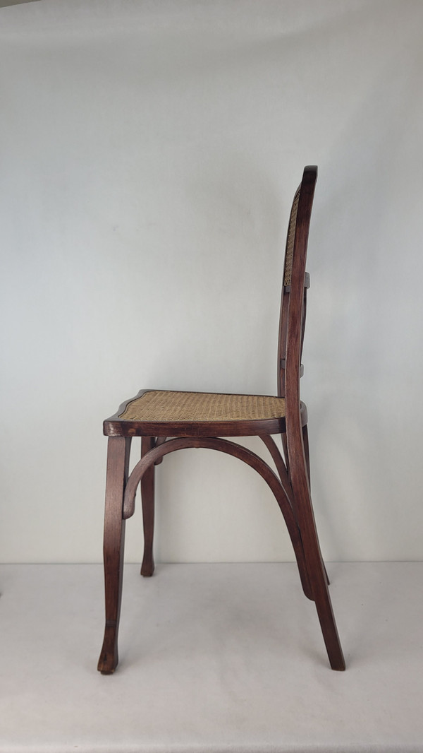 2 sedie in legno curvato in stile Art Nouveau