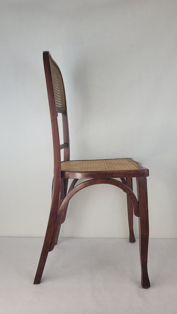2 sedie in legno curvato in stile Art Nouveau