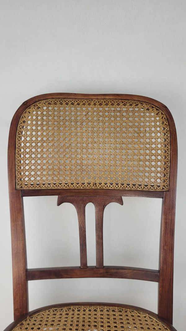 2 sedie in legno curvato in stile Art Nouveau