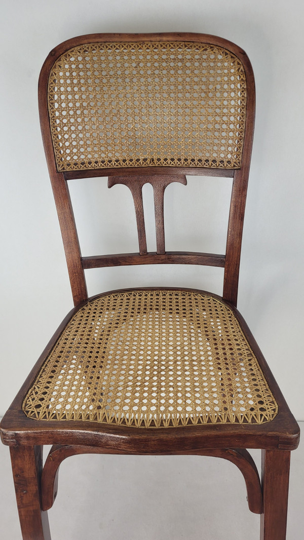 2 sedie in legno curvato in stile Art Nouveau