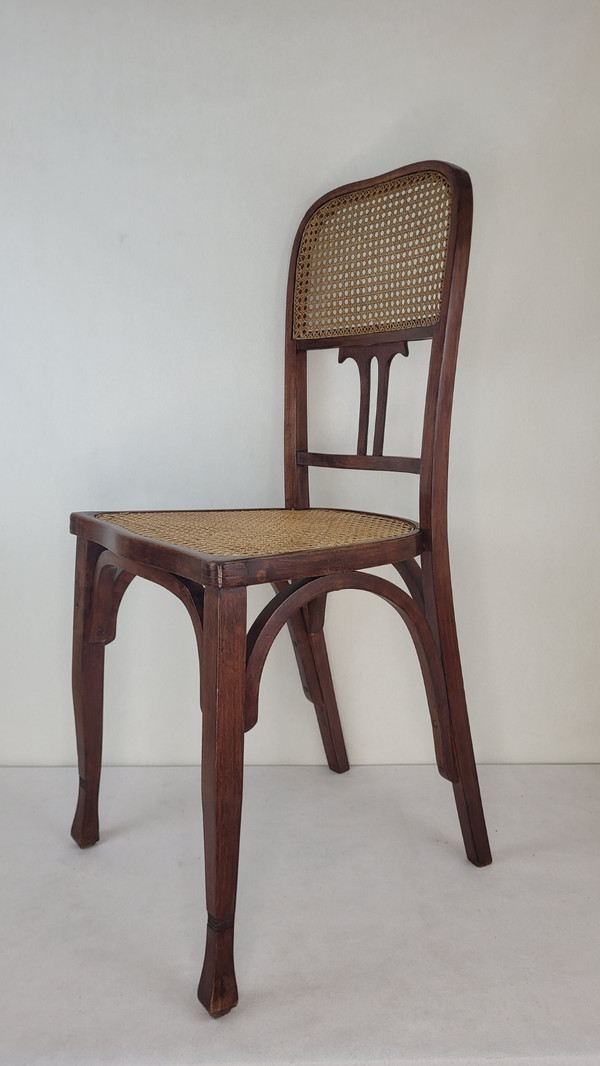 2 sedie in legno curvato in stile Art Nouveau