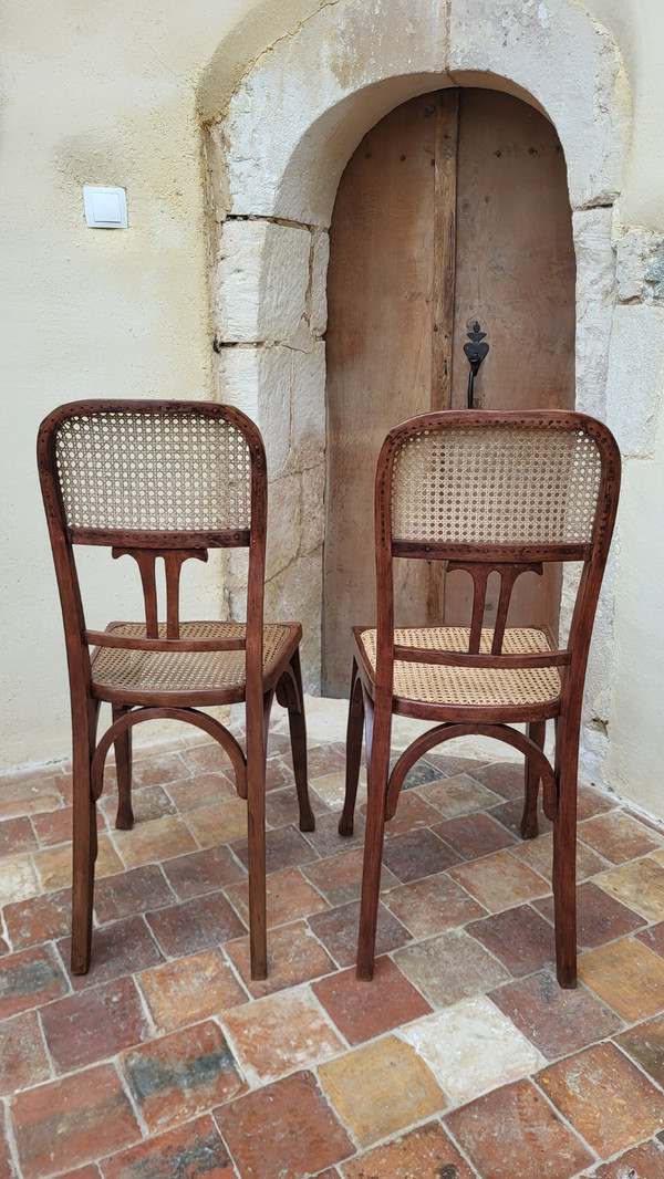 2 sedie in legno curvato in stile Art Nouveau