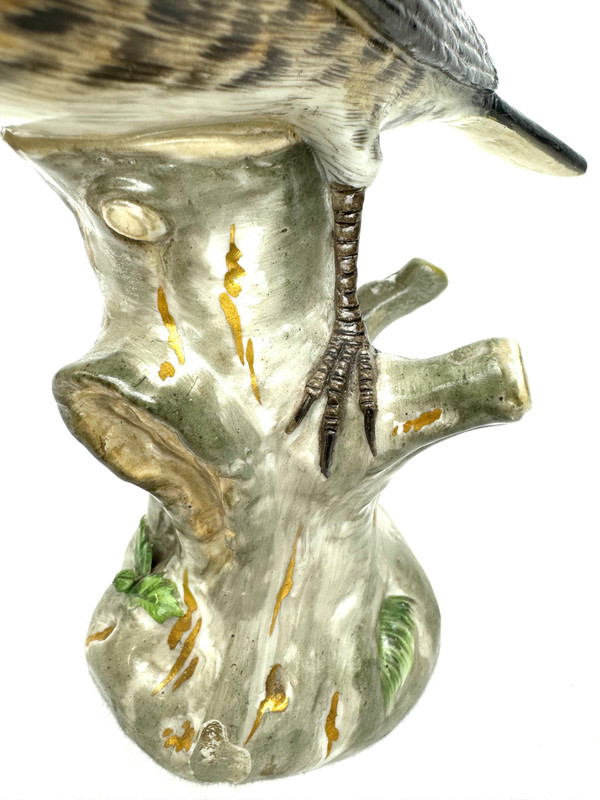 Meissen - Porcelain Figure of a Turdidae