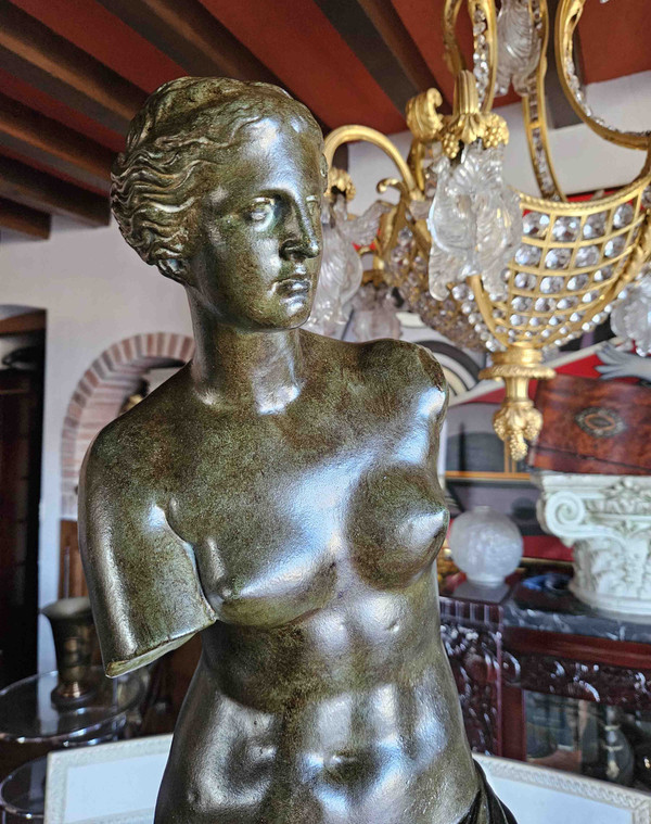 Venere Di Milo Con Patina Bronzo Ht 87 Cm