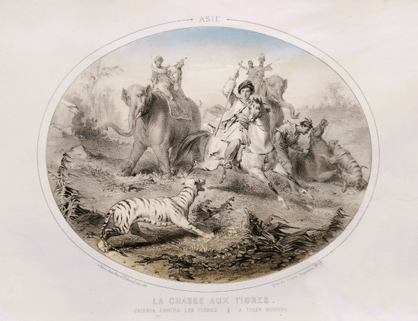 Hunting Horses Four Continents Lithographs Colors By Bès And Dubreuil 19th  C