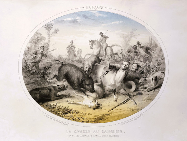 Hunting Horses Four Continents Lithographs Colors By Bès And Dubreuil 19th  C