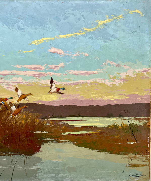 Ducks in pond raising