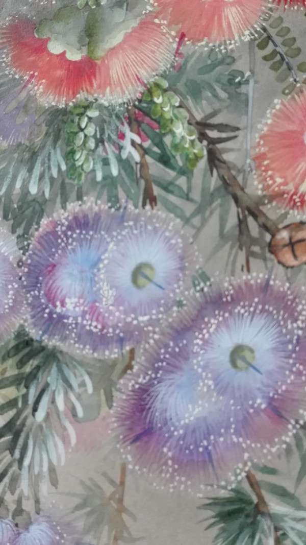 Ellis Rowan Australischer botanischer Künstler und Illustrator 1848-1922 seltene Gouacheblumen
