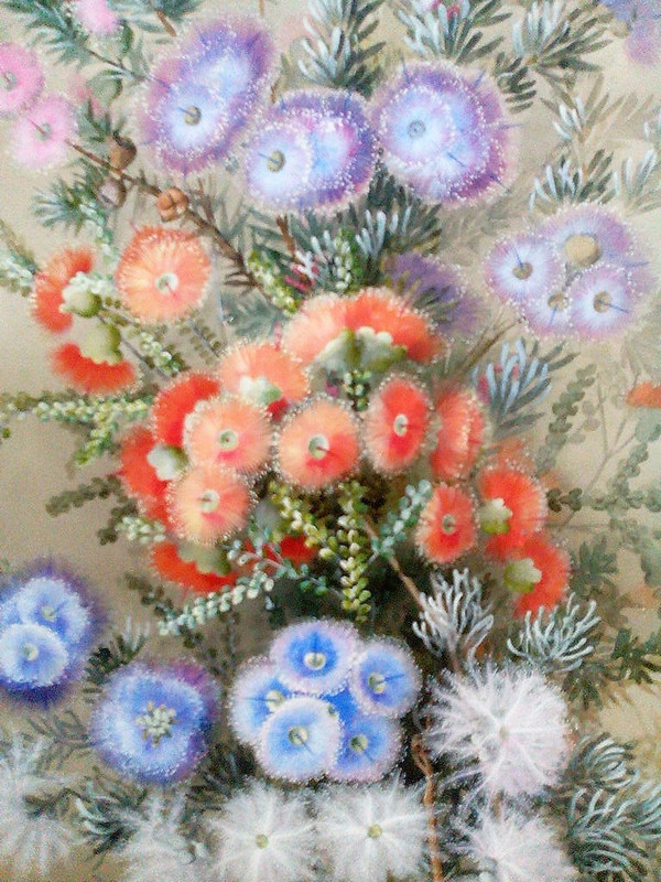 Ellis Rowan Australischer botanischer Künstler und Illustrator 1848-1922 seltene Gouacheblumen