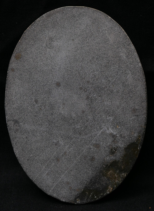 Atelier de Tito FRANCOLINI, Italienne au tambourin