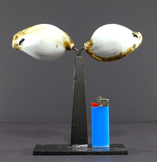 Melanesia, First Half of the Twentieth Century, Pair of Ancient Shells used as currency.