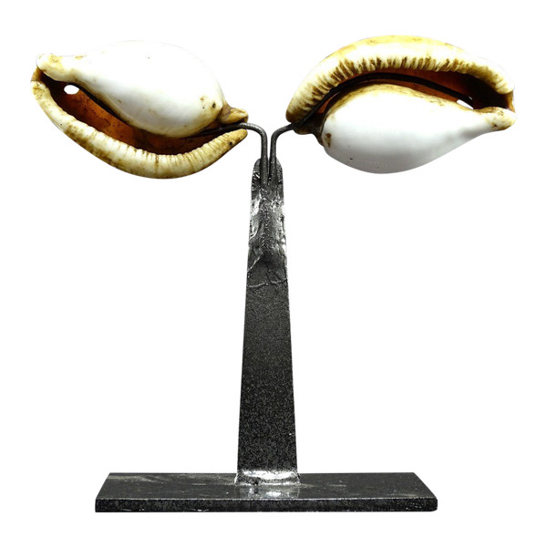 Melanesia, First Half of the Twentieth Century, Pair of Ancient Shells used as currency.