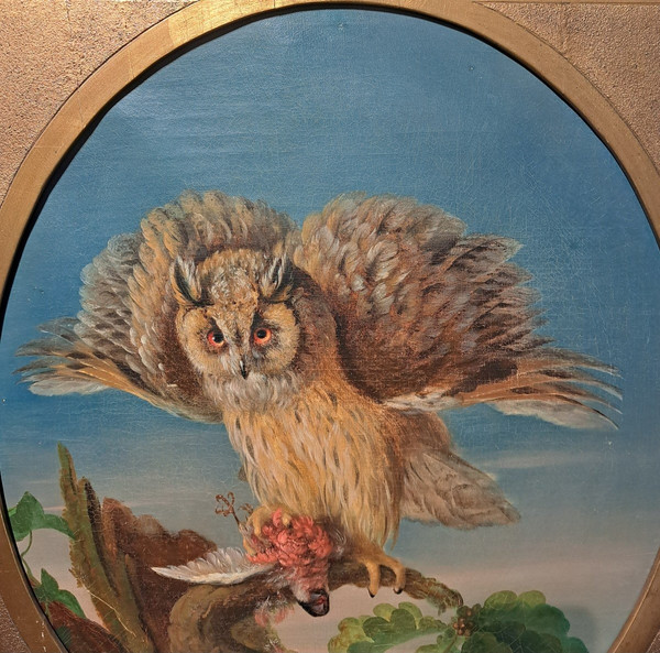 Seguace di Jean Jacques Bachelier (1724-1806), La civetta e la sua preda, olio
