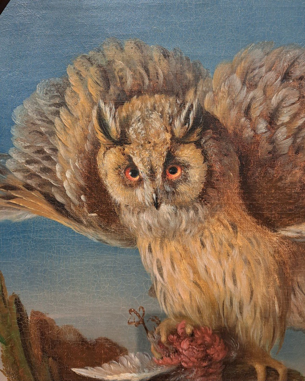 Seguace di Jean Jacques Bachelier (1724-1806), La civetta e la sua preda, olio