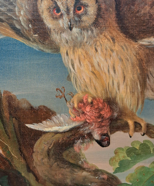 Seguace di Jean Jacques Bachelier (1724-1806), La civetta e la sua preda, olio