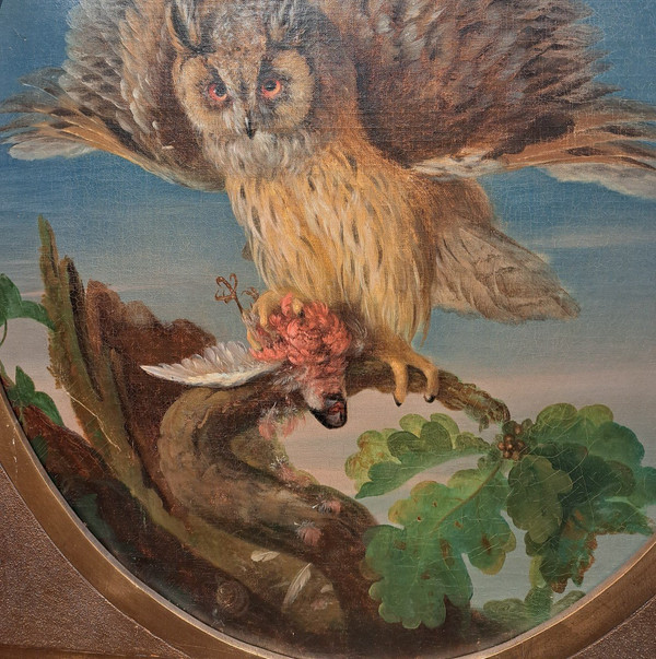 Seguace di Jean Jacques Bachelier (1724-1806), La civetta e la sua preda, olio