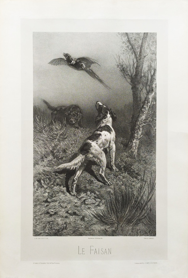 Jagdhunde Und Fasane Lithographie 19.