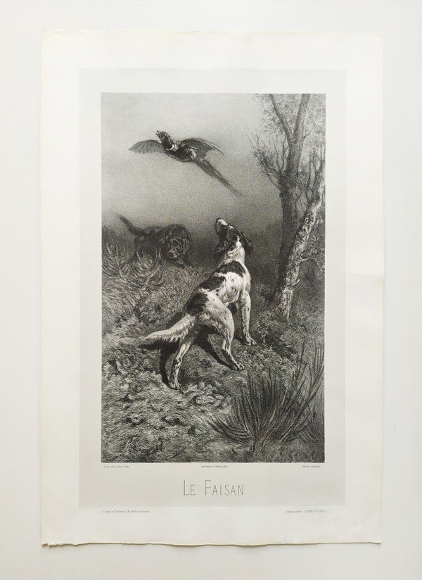 Jagdhunde Und Fasane Lithographie 19.