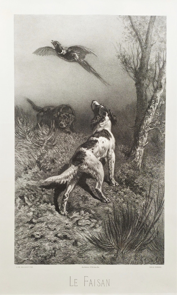 Jagdhunde Und Fasane Lithographie 19.