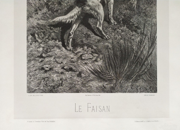 Jagdhunde Und Fasane Lithographie 19.