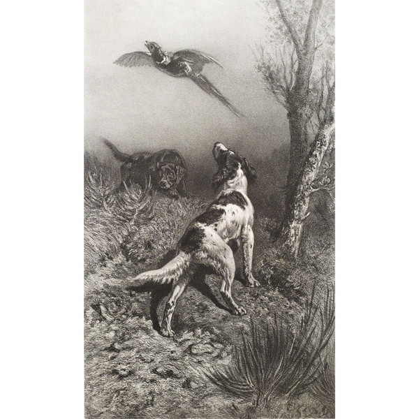 Jagdhunde Und Fasane Lithographie 19.