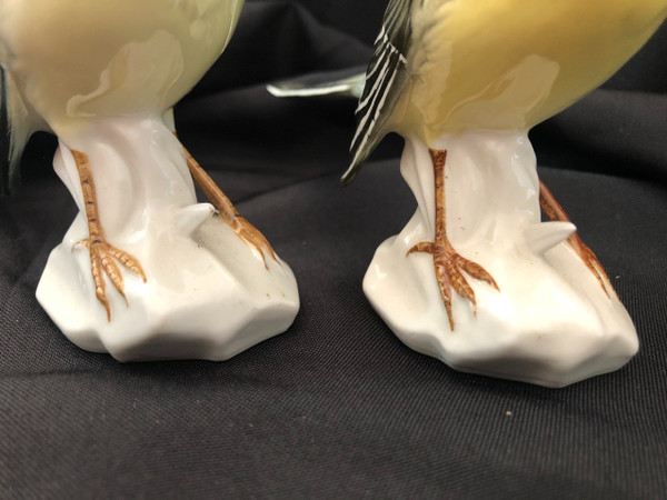 Couple d'oiseaux en porcelaine de Saxe par Karl Ens fin XIX siècle 
