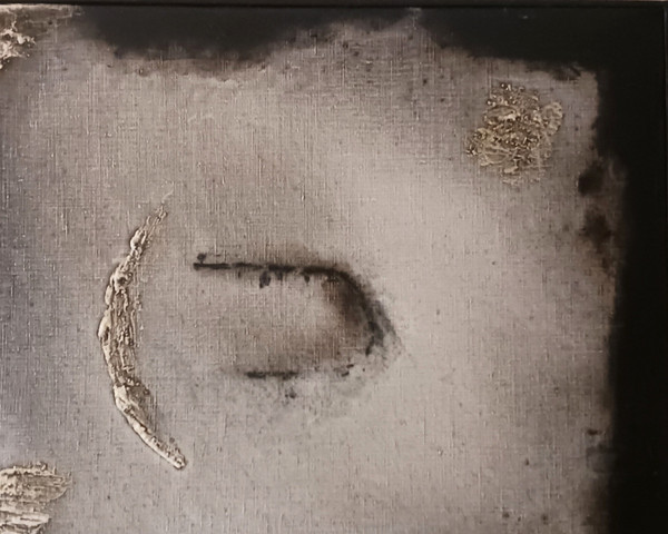BRUNA GASPARINI 1917/2015