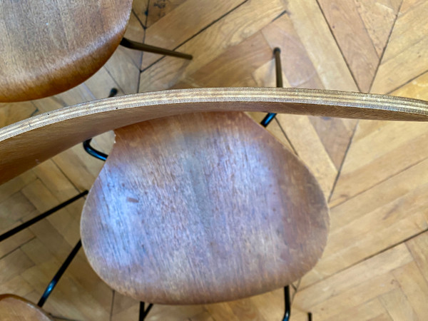 Chaises Jacobsen serie 7
