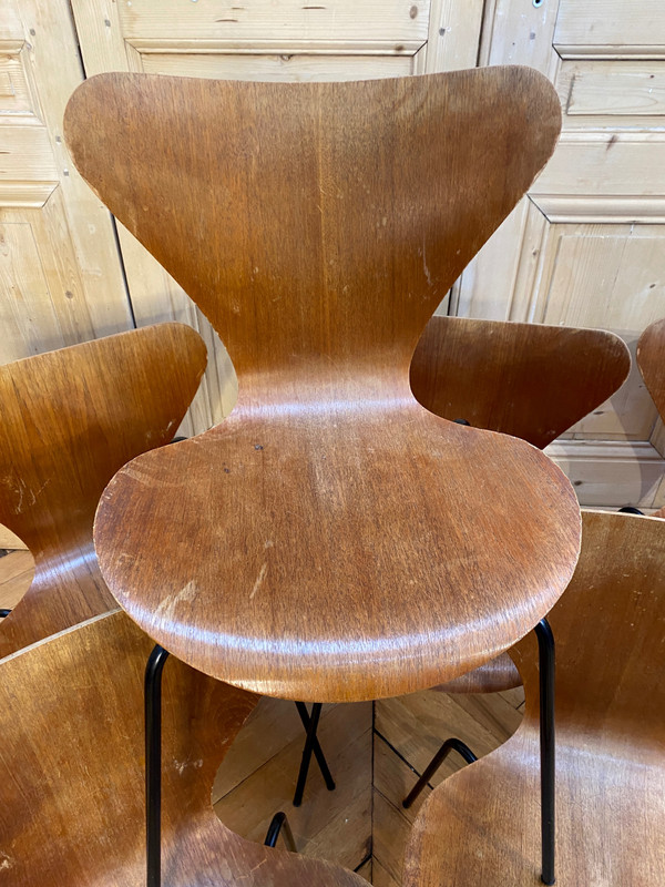 Chaises Jacobsen serie 7