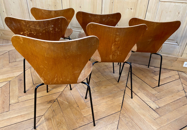 Chaises Jacobsen serie 7