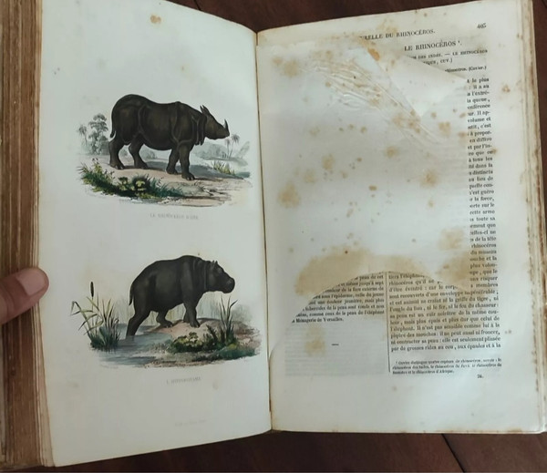 6 Libri Opere complete di BUFFON
