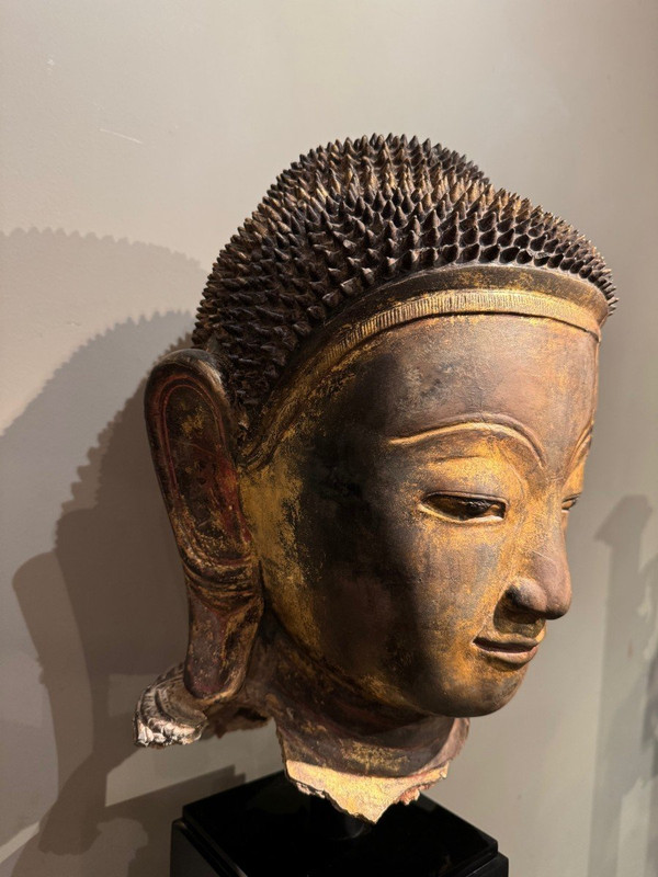 Grande testa di Buddha in terracotta dorata, Birmania, stati Shan, fine XVIII secolo.