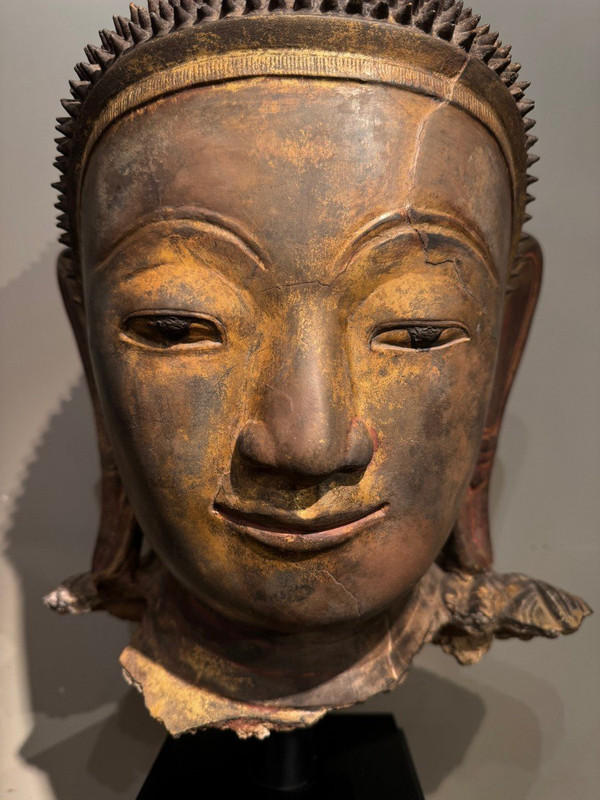 Grande testa di Buddha in terracotta dorata, Birmania, stati Shan, fine XVIII secolo.