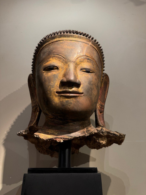 Grande testa di Buddha in terracotta dorata, Birmania, stati Shan, fine XVIII secolo.