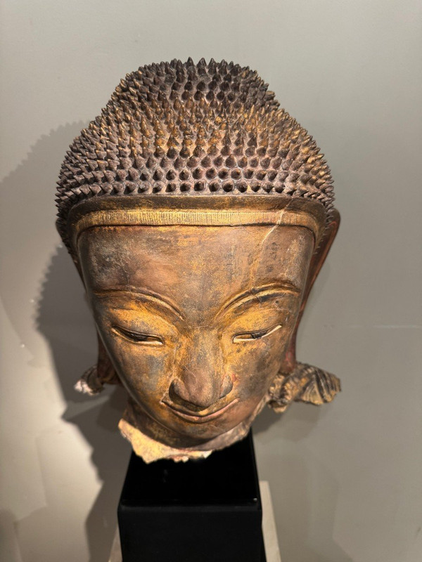 Grande testa di Buddha in terracotta dorata, Birmania, stati Shan, fine XVIII secolo.