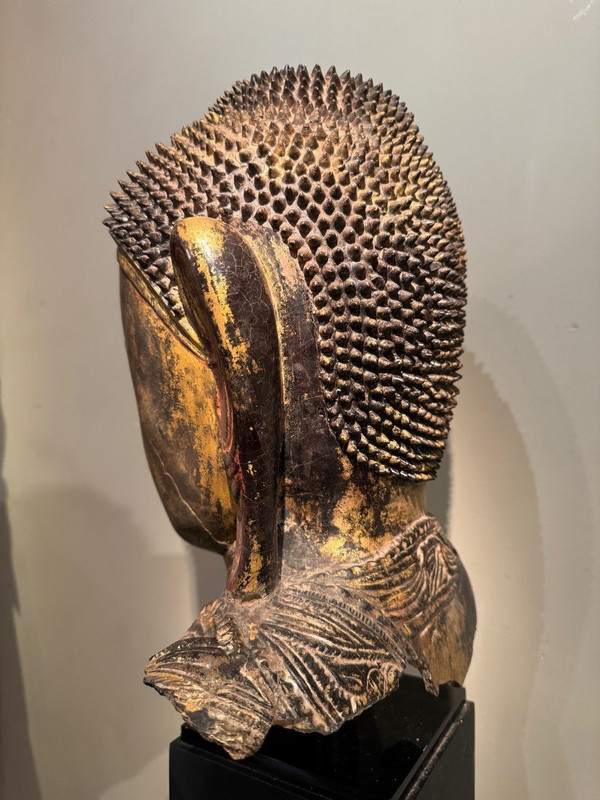 Grande testa di Buddha in terracotta dorata, Birmania, stati Shan, fine XVIII secolo.