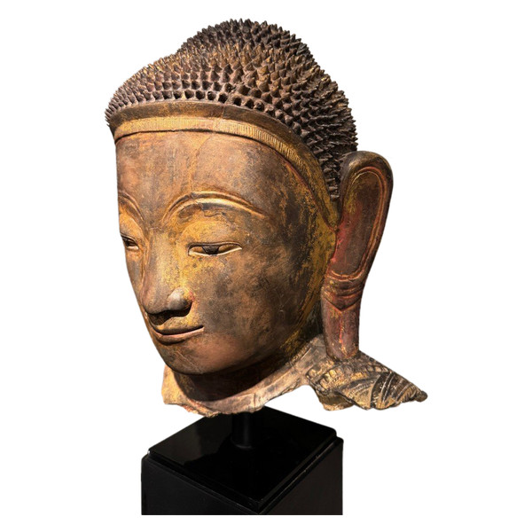 Grande testa di Buddha in terracotta dorata, Birmania, stati Shan, fine XVIII secolo.