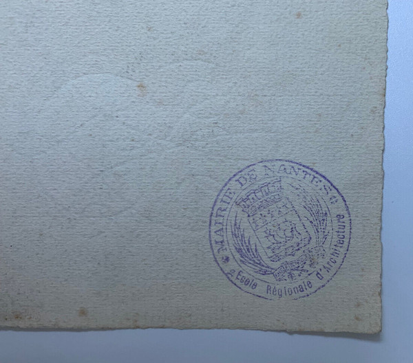 Dessin vase Médicis École d'Architecture Nantes Jean Zannier 1950