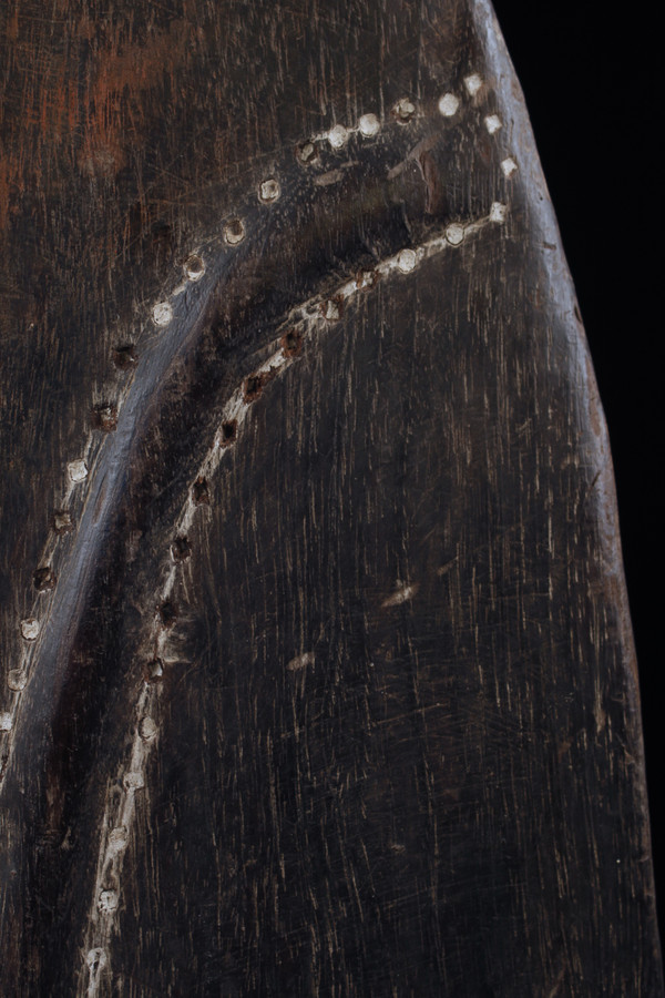 Shield, Oceanic art, sculpture, tribal art, first arts, Oceania, Papua New Guinea